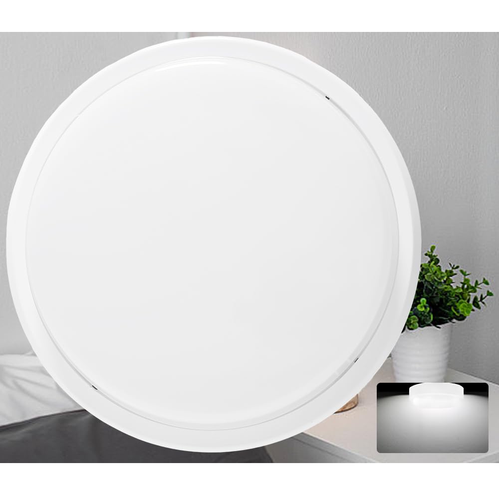 󥰥饤 Ἴ  Ἴ LED ݷ LED󥰥饤 4 6  ŵ忧   ...