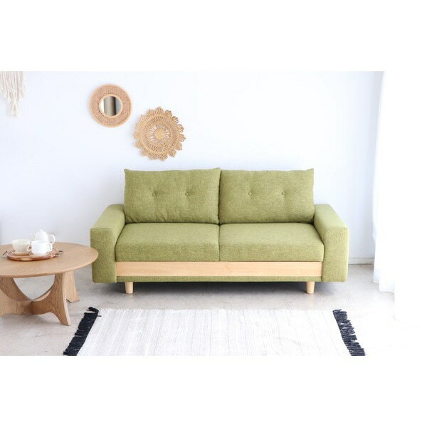 FZ_ケイシー2.5P_収納ソファベットGR グリーン 組立品