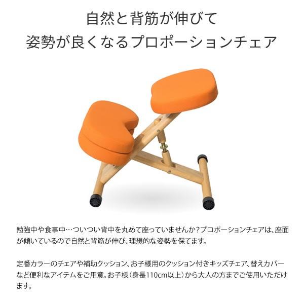 キッズ プロポーションチェア 補助クッション付 身長110cm大人まで 高さ調整 座面前後調整 姿勢キープ ダイニング デスク 学習イス