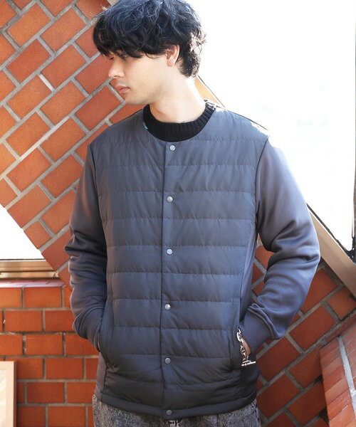 綿の服ですダウン ダウンノーカラーブルゾン メンズ レディース