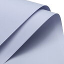 T フラワーラッピングペーパー 防水フローラルラップ ラベンダーギフトパッケージ 22.8 x 22.8インチ DIYクラフト ブーケパッケージ 60枚入り