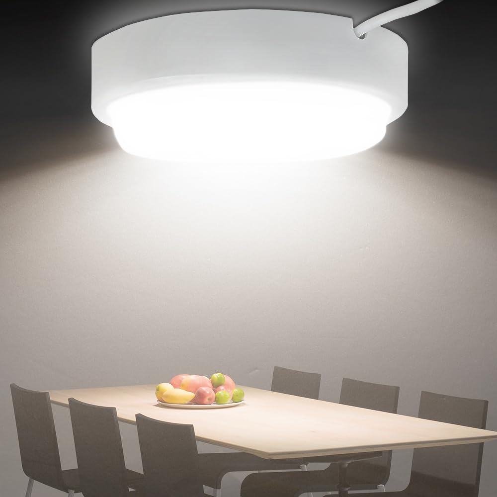 Х롼ץХ롼ץ10w 2000lm适4 ~ 6ledХ롼׸إ饤Ⱦ