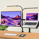 2x77 LED調光デスクランプ - 【3つの色温度と10段階の明るさ】 アイプロテクト搭載のクリップ式ランプ、70cmフレキシブルスワンネックワークライト、デスククリップ/ベッドサイド/読書用ライト ホームオフィス/オフィス用(3)