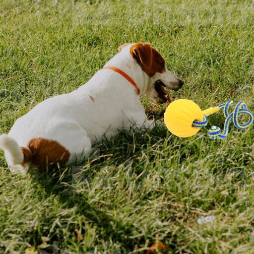 エヴァの犬の噛むボールは、遊んでいる犬の訓練のために抵抗力がある黄色のかみ傷をもてあそびます エヴァの犬の噛むボールは、遊んでいる犬の訓練のために抵抗力がある黄色のかみ傷をもてあそびます
