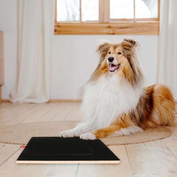 犬用スクラッチパッド 木製犬用セルフネイルスクラッチャー 大型犬と小型犬用 犬用 37.5cmx26.5cmx4cm