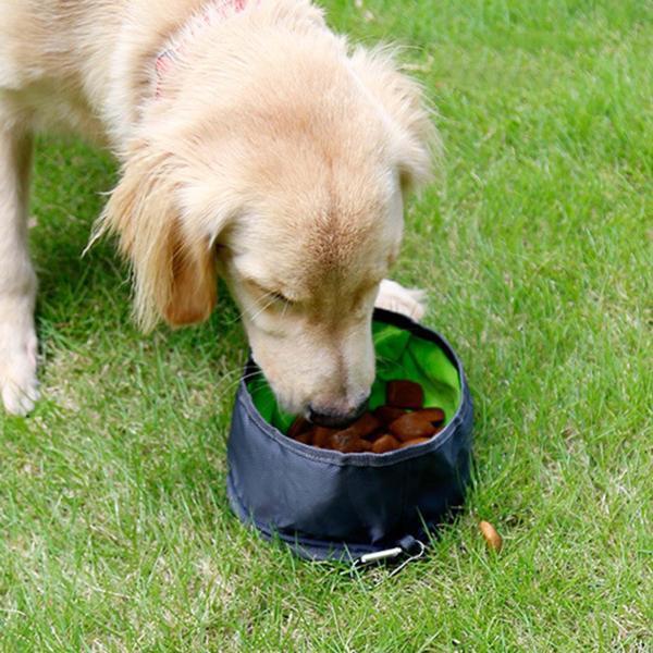 楽天エムーエムショップ折りたたみ式犬用ボウル給餌食器用ウォーキングキャンプ屋外グレー