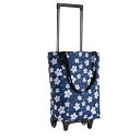 エコバッグ ショッピングカート 折り畳みキャリーカート 軽量 キャリー大容量 収納力 の引き手付きカート 再利用可能 ポケット収納 な キャスター搭載 補助足搭載 スーパーで使えるショッピングバッグ コンパクトな小型カート キャンプ 運動会 花見