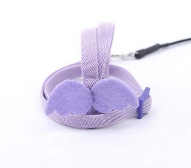 鳥用ハーネス インコ専用 リード ハーネスト 調節可能ロープ カゲ小動物用アウトドア お散歩 迷子防止 運動不足 ウォーキング インコトレーニング縄 小動物用 お出かけ 散歩 ウォーキング トレーニング 天使の羽 (パープル)