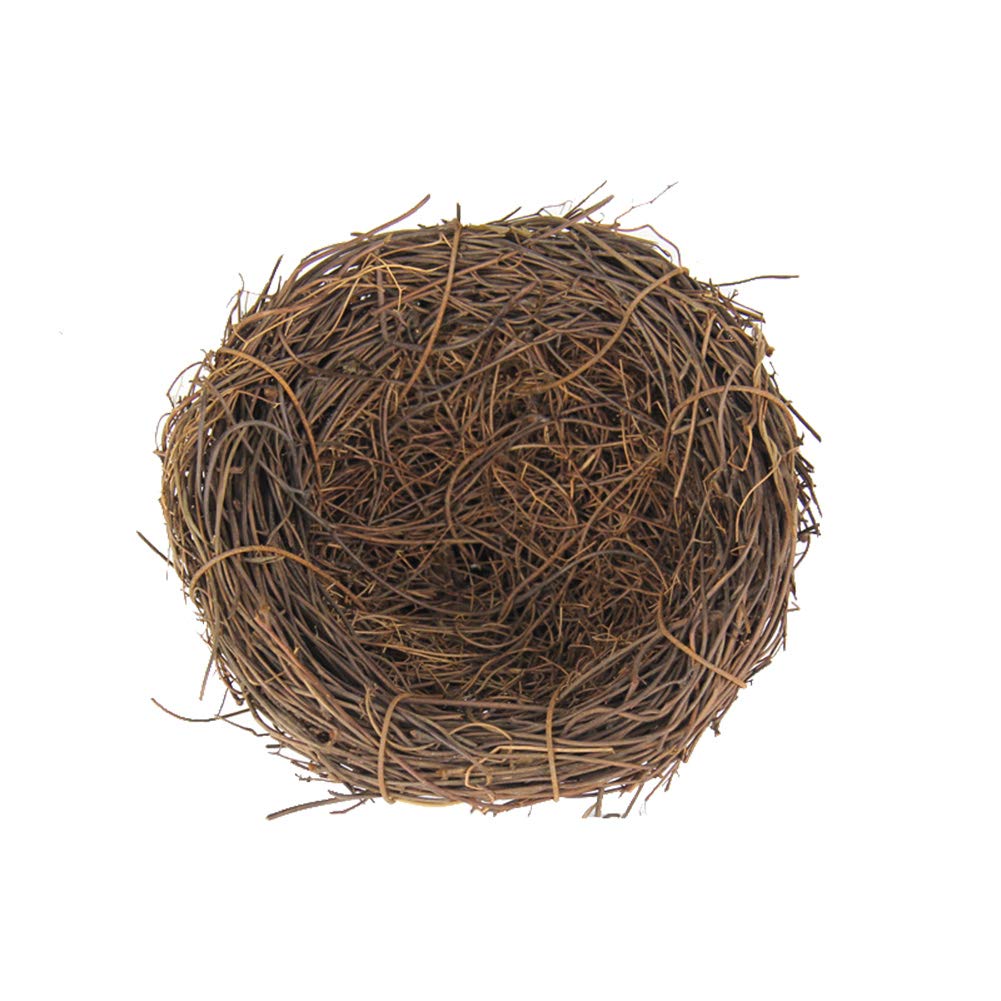 Ļ  饿 ƥꥢ   Сɥϥ Ȣ ĻΥϥ ʥåĻ ͹Ļʪ (20cm)