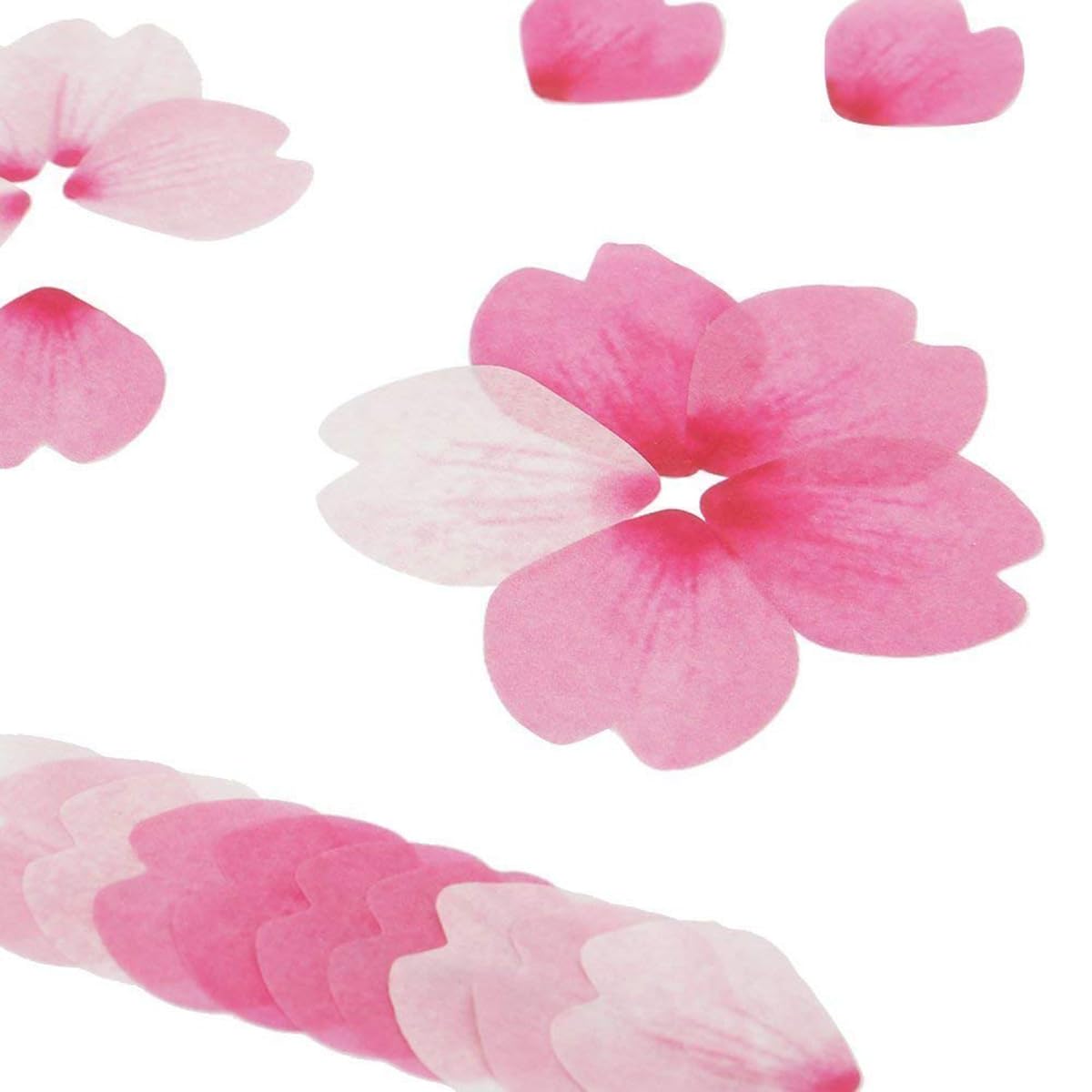 β֤Ӥ ޥ󥰥ơ ޥ󥰥 ƥå  塼 DIY  襤   Ģ   Ģ ƥå »ơ »澮 ǥ졼