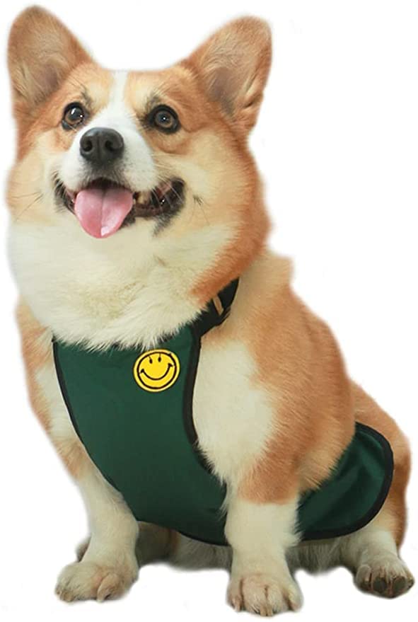 犬 エプロン 泥よけ 小中型犬用 レインエプロン レインコート ドッグウエア お腹エプロン 泥除け 防水 ..