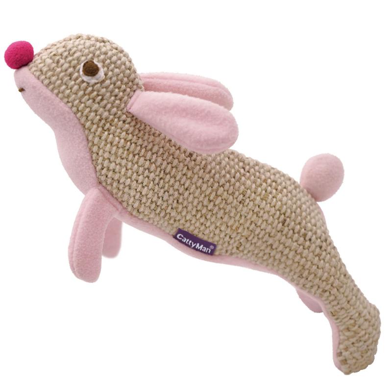 猫のうしろ足爪みがき