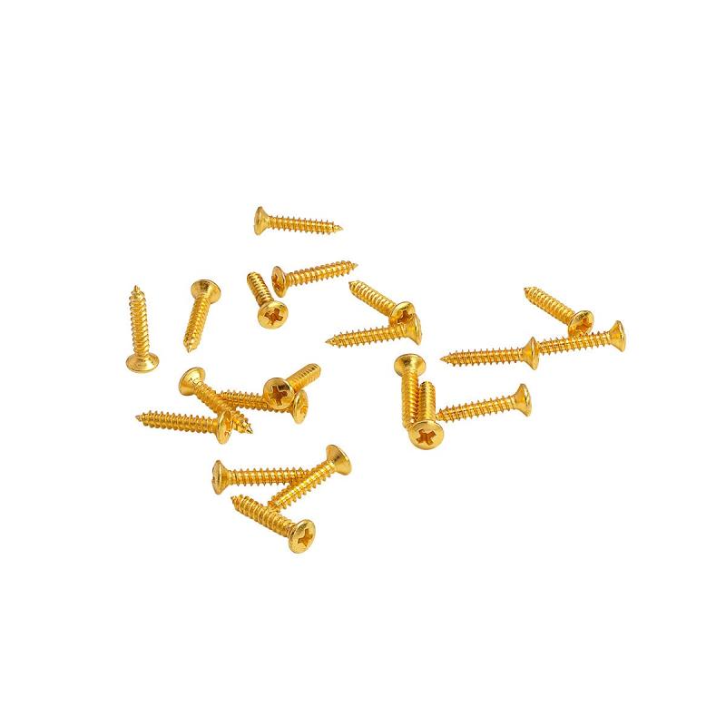 Musiclily Basic 2.5x15mm 金属 ミリ規格ストリングガイド用 ビス ネジ （20個セット）