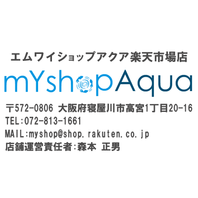 水草　国産 無農薬 アナカリス メダカ 金魚藻 オオカナダモ（5本） 【メール便送料無料】 3