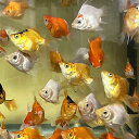 タマサバMIX 玉サバ 5匹 金魚 SS約2cm~4cm前後 国産