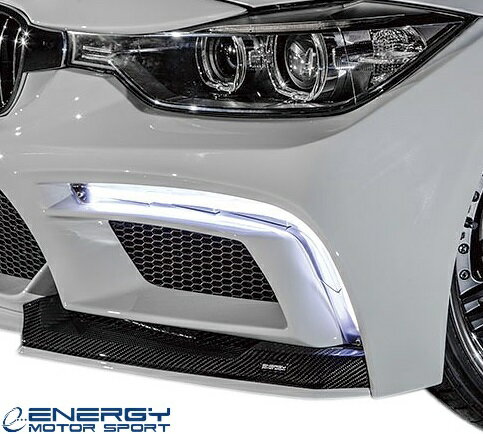 【M’s】 F30 BMW 3シリーズ 前期 (2012y-2015y) ENERGY MOTOR SPORT EVO30.1 チューブLEDデイライト (ON/OFFスイッチ付) エナジーモータースポーツ エアロ パーツ セット カスタム 外装 部品 改造 社外 ガレージエブリン 4ドア セダン デーライト フォグランプ フォグライト