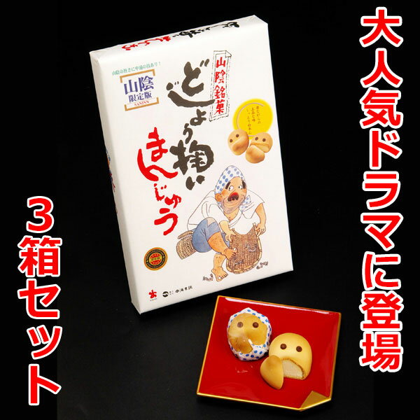 中浦食品 饅頭 山陰銘菓 どじょう掬いまんじゅう 12個入り ×3箱