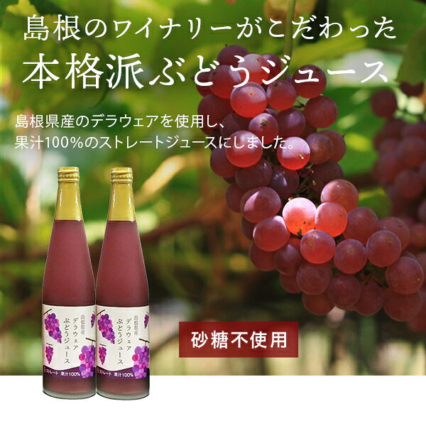 島根ワイナリー 島根県産ぶどう使用！ぶどうジュース デラウェア 500ml×2本