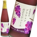 【レビュー特典付】 【送料無料】島根ワイナリー 島根県産ぶどう使用！ぶどうジュース デラウェア 500ml×12本