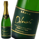 【レビュー特典付】 発泡性果実酒 ワイン 白 スパークリング デラウェアスパークリングワイン750ml ×2本 箱なし 島根ワイナリー