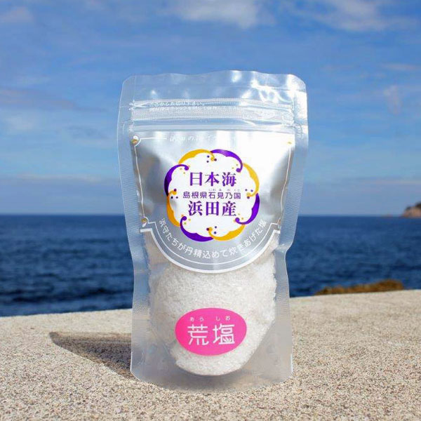 塩 調味料 浜守の荒塩 100g×5個