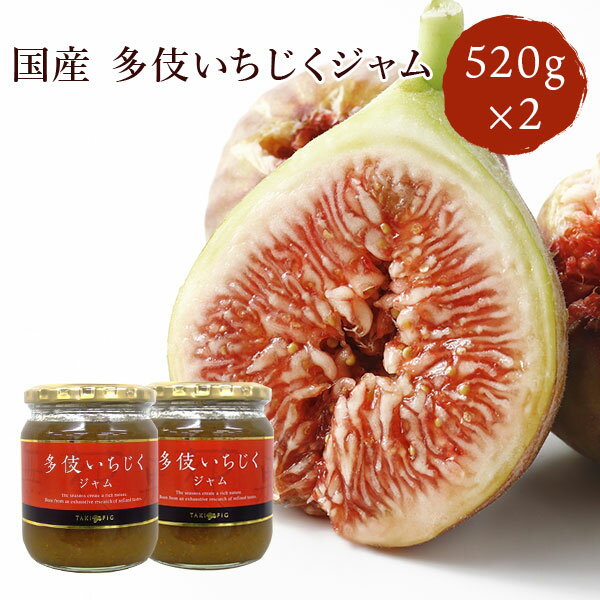 島根県多伎町産 多伎いちじくジャム 520g×2個 蓬莱柿 国産