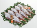 【レビュー特典付】 魚 干物 「一日漁」 かれい一夜干し 900g 岡富商店