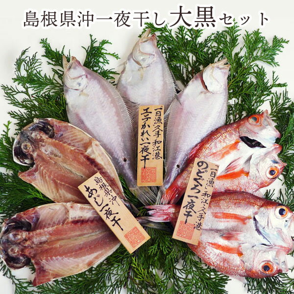魚 干物 「一日漁」島根県沖一夜干し 大黒セット岡富商店