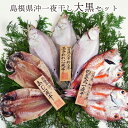 【レビュー特典付】 魚 干物 「一日漁」島根県沖一夜干し 大