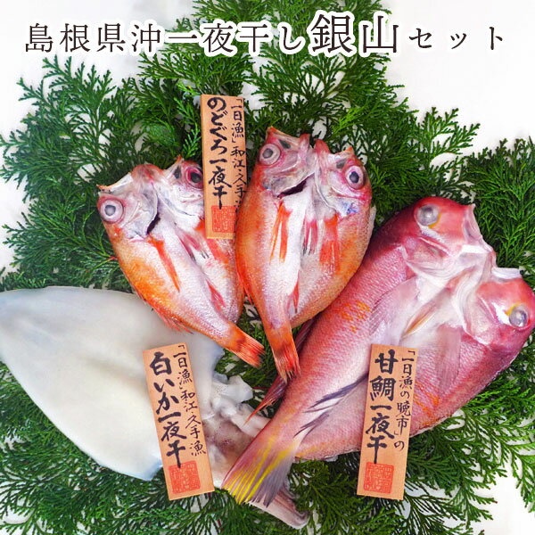 干物ギフト 魚 干物 「一日漁」 島根県沖一夜干し 銀山セット 岡富商店