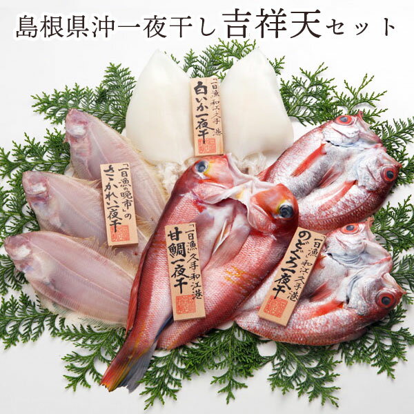 魚 干物 「一日漁」 島根県沖一夜干し 吉祥天セット 岡富商店