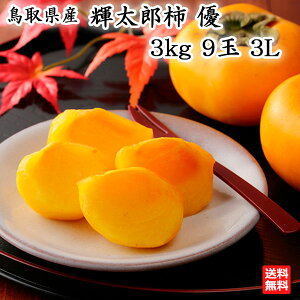 JA鳥取いなば 輝太郎柿 優 3kg箱入 9玉 3L（19月末より出荷）【送料無料】ご自宅用 ギフト