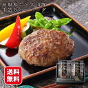 【レビュー特典付】 ハンバーグ ギフト 鳥取和牛 大山豚手造りハンバーグ 送料無料 ホクニチ 冷凍