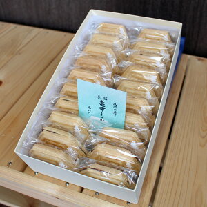 もなか 和菓子 亀甲もなか 20ヶ入り 亀甲や 北海道産小豆 粒あん