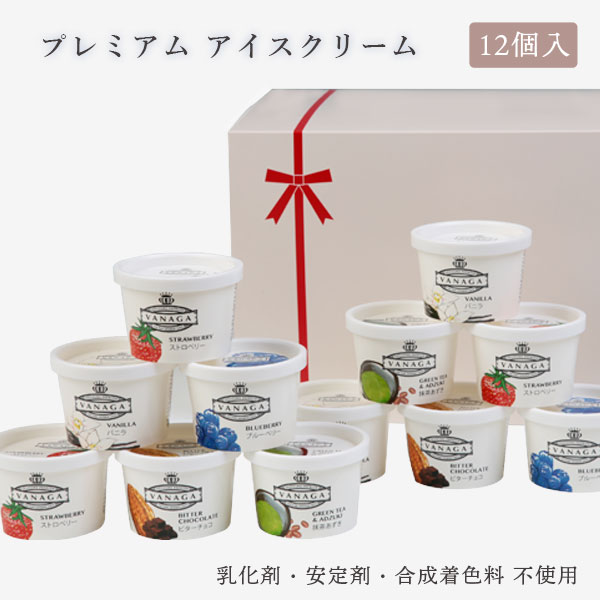 アイスクリーム「VANAGA（ヴァナガ）」12個入り 送料無