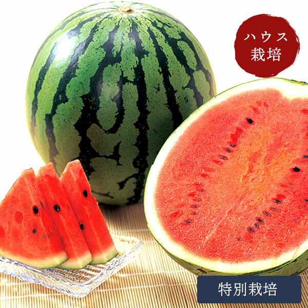 鳥取 スイカ 大栄 奥田農園 大栄 侍スイカ ハウス栽培 特別栽培 鳥取スイカ 「祭りばやし」もしくは「春のだんらん」 【6月初旬〜中旬出荷】のサムネイル