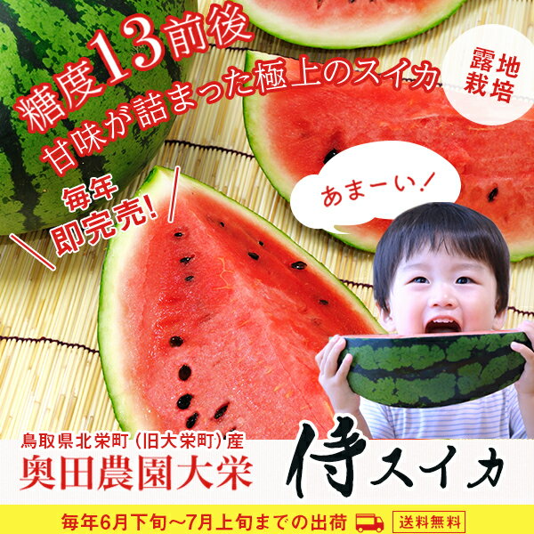 鳥取スイカ 大栄 大玉 大栄 侍スイカ 3Lサイズ （8kg以上）露地栽培 奥田農園「6月20日頃より順次発送」鳥取スイカ 祭ばやし 2