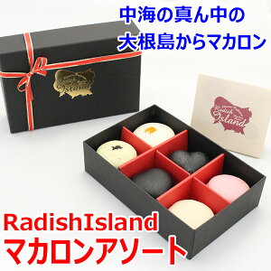 【送料込】RadishIsland（ラディッシュアイランド）マカロン　アソート　６個入り　【メーカー直送】 ギフト 母の日