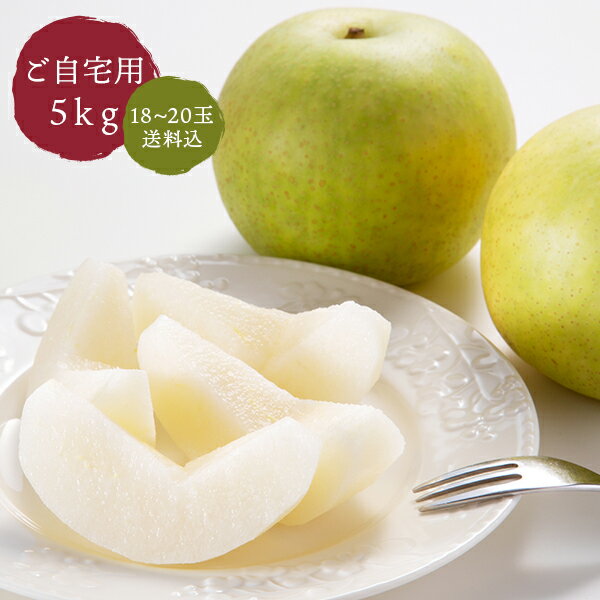 鳥取県産 梨 二十世紀梨 5kg（18〜20玉） 訳アリ ご家庭用 【キズ 変形等あり】 やぶやフルーツガーデンのサムネイル