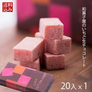 プチギフト 誕生日 御礼 ギフト プレゼント 老舗 スイーツ 誕生日 内祝 チョコレート / いちご生チョコ20P / 恵那 良平堂 メール便