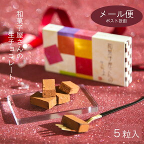 ギフト プレゼント 贈り物 人気 お菓子 スイーツ 誕生日 内祝 感謝 快気祝い 御礼 職人 手作り チョコ チョコレート / 生チョコレートx1箱 / メール便