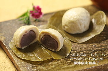 和菓子 高級 お取り寄せ ギフト 誕生日 詰め合わせ プレゼント 御礼 プチギフト 栗 / 生麩まんじゅう 20ヶ / 恵那栗工房 良平堂【あす楽対応】