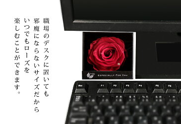 母の日 プリザーブドフラワー 誕生日 青いバラ 卒業式 記念 記念品 卒業 ボックス ギフト 電報 結婚式 プレゼント お祝い 結婚祝い ばら 一輪 ブリザードフラワー 花 女性 おしゃれ 送料無料 薔薇 ブルー バラ 赤 誕生日プレゼント プロポーズ