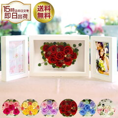 https://thumbnail.image.rakuten.co.jp/@0_mall/enaldy/cabinet/parts/summer_thum/ipfa004_221207thum.jpg