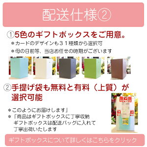 プリザーブドフラワーギフトガラスドームエンジェル誕生日誕生日祝いプレゼント結婚式電報両親贈り物バースデープレゼント花花束ドームフラワーギフトペットお供え仏花アレンジメント父の日に最適のお花のフラワーアレンジ【送料無料】