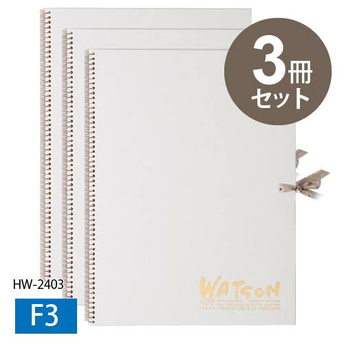 【スケッチブック3冊まとめ買い!】ミューズ ホワイトワトソンブック F3 HW2403 239g(特厚口) 本型・SP・スキップアーチ孔・ヒモ付き 15枚 国産...