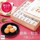 個包装 梅干し お中元 送料無料 猿梅一粒包み(20粒/まろやか味/塩分8%)贈答用ギフト 完熟した紀州南高梅 特選A級使用 減塩梅干し 夏ギフト 御中元 お歳...