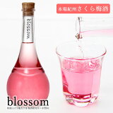 ڵ߼blossomʥ֥åˤ߼ 500ml²λؤνȶƱȯաڶۡ߼  ۡڷ뺧ǰץ쥼ȡͽˡХ󥿥󡿽Ҳ