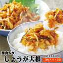 国産 お漬物【梅肉入りしょうが大根】300g（150g×2袋入）ご飯のお供 生姜 だいこん 刻み漬け 昆布入り ◆2個までネコポス便でお届け◆