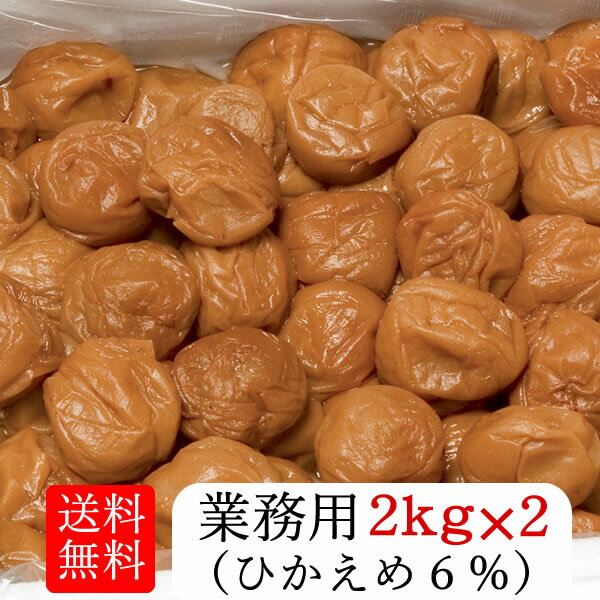 【送料無料】【梅干し】業務用ひかえめ梅干し（2kg×2個）